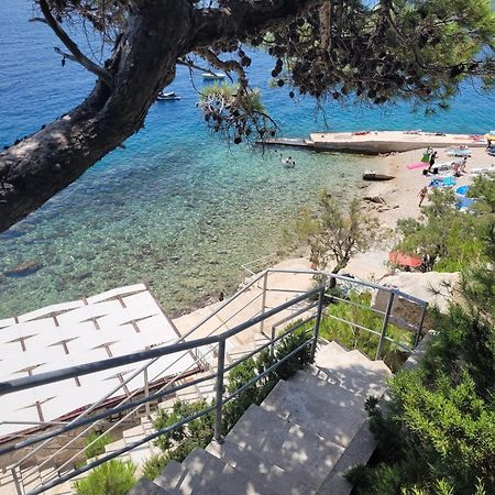 Luxury Apartments Villa Ruzmarina With New Heated Infinity Pool And Lounge Area Marusici  Exterior photo